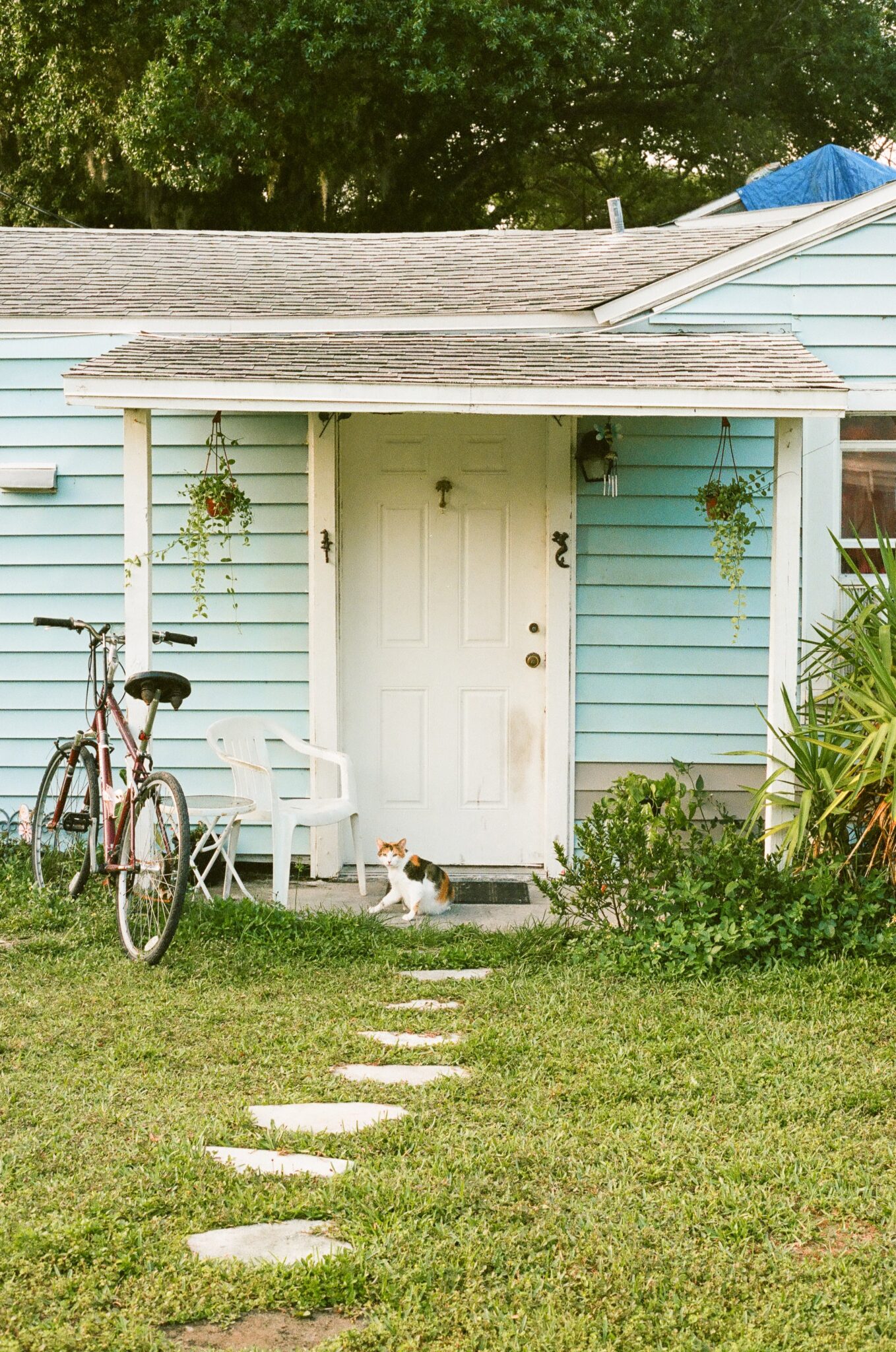 Front Paths - Every Day Curations